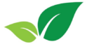 chlorophyllo logo