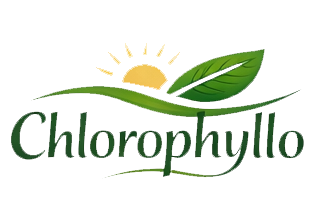 ChloroPhyllo